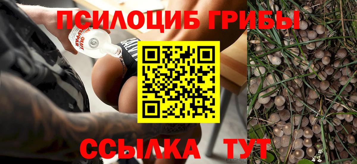 Псилоцибиновые грибы MAGIC MUSHROOMS Кунгур
