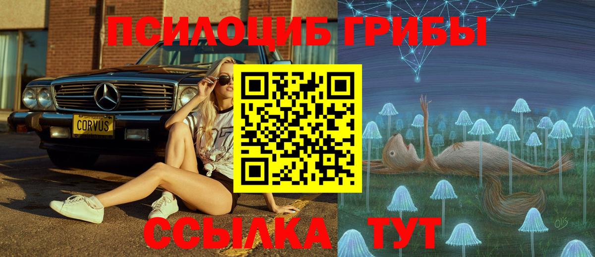 Кунгур  купить   Псилоцибиновые грибы Magic Shrooms  Вход с VPN  Псилоцибиновые грибы мухоморы 