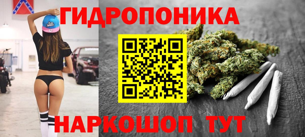 Бошки Шишки гибрид  Каннабис OG Kush  Кунгур  Вход с VPN  Шишки марихуана ГИДРОПОН 